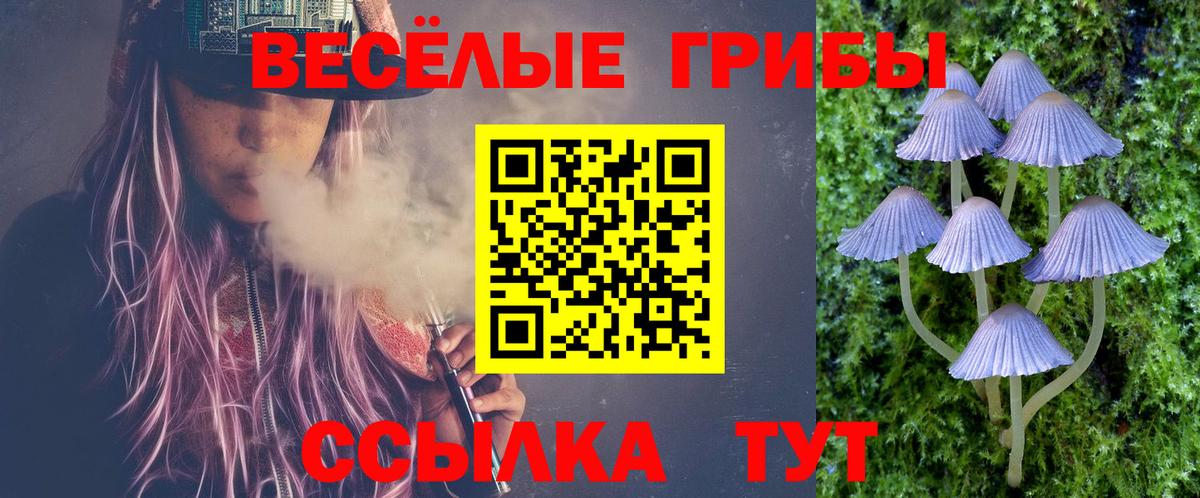 Галлюциногенные грибы ЛСД  Вход с VPN  Галлюциногенные грибы мухоморы  Феодосия 